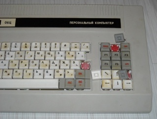 Vector 06c photo9.jpg